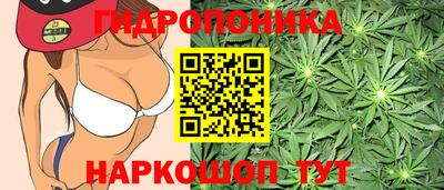 spice Бузулук