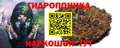 spice Бузулук