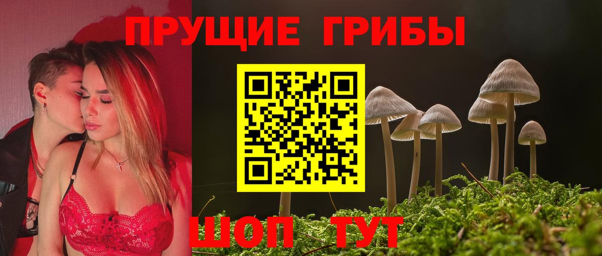 Майкоп  Галлюциногенные грибы прущие грибы  Вход с VPN 