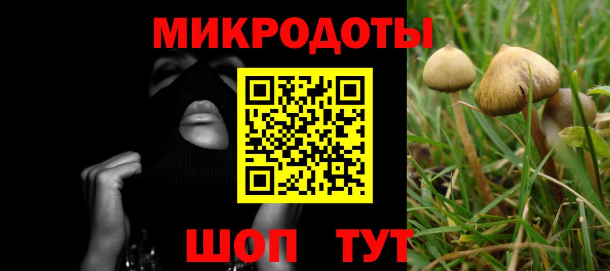 Галлюциногенные грибы GOLDEN TEACHER Майкоп