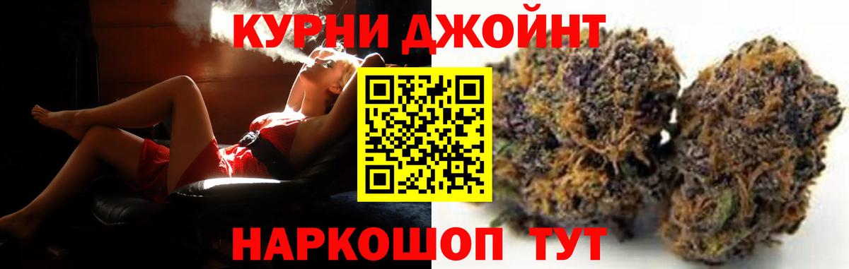 Конопля сатива Майкоп